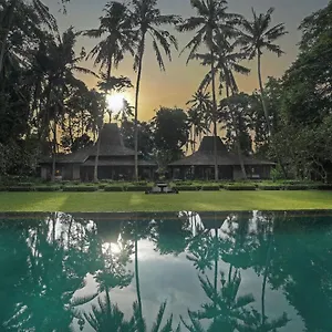 Puri Tupai فيلة